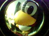 /gfx/2002/Snapcam/06/20020613-2151-22578-2.Penguin.jpg