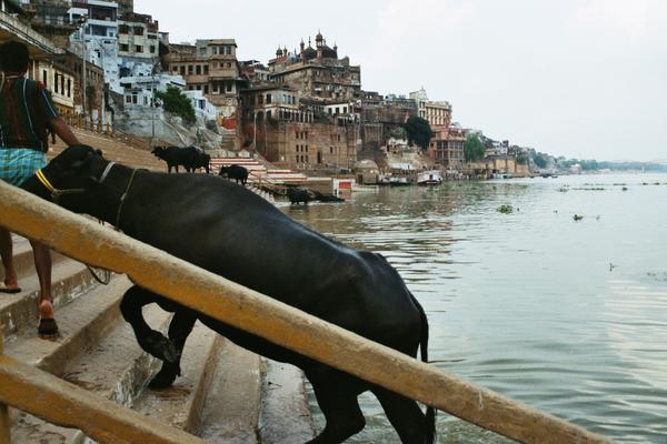 Image: /gfx/2003/2003Week28/India04.22_imm002.Varanasi.jpg 