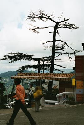 Image: /gfx/2003/2003Week29/India06.21_imm004.Shimla.jpg 