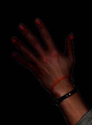Image: /gfx/1900/jip.hand.jpg 