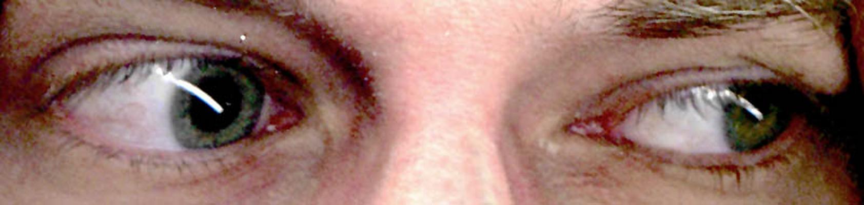 Image: /gfx/2000/08/oog.jpg 