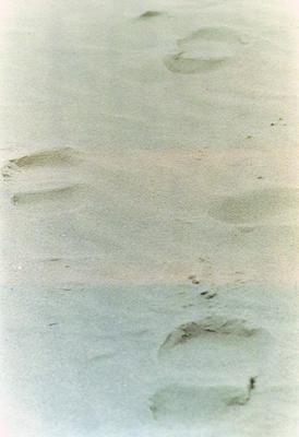 Image: /gfx/2001/06/Oerol1/imm010.JPG 