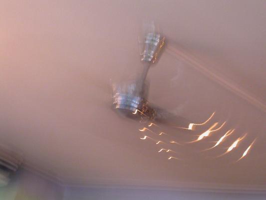 Image: /gfx/2002/Coolpix4500/dscn0855.jpg 
