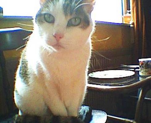 Image: /gfx/2002/Espion/04/20020428-1300-1.jpg 