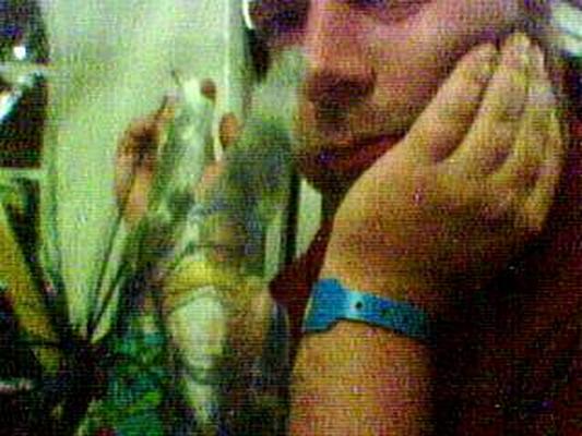 Image: /gfx/2002/Snapcam/06/20020623-0010-736-2.Universiteitsmuseum.jpg 