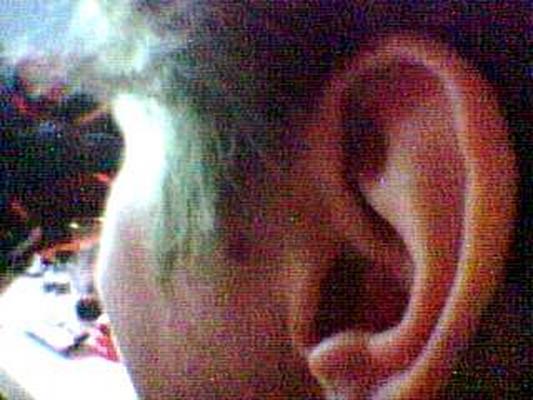 Image: /gfx/2002/Snapcam/07/20020712-2227-16825-5.Sushi.jpg 