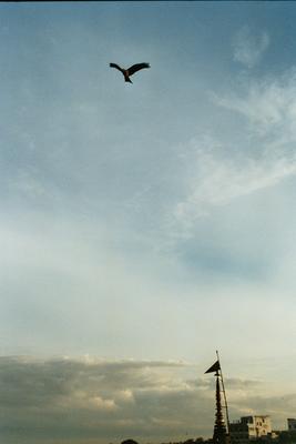 Image: /gfx/2003/2003Week28/India02.22_imm002.Varanasi.jpg 