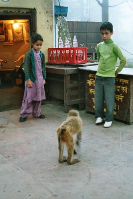 Image: /gfx/2003/2003Week29/India07.06_imm026.Shimla.jpg 