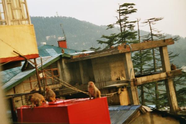Image: /gfx/2003/2003Week29/India07.14_imm018.Shimla.jpg 