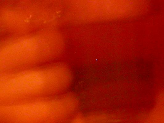 Image: /gfx/2003/2003Week37/dscn4320.IBB.jpg 