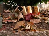 /gfx/2003/2003Week45/dscn7047.Sprang-Capelle.jpg