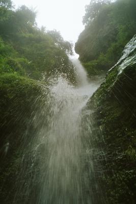 Image: /gfx/2003/LizzyJanneke/IndiaJL03.imm026.jpg 