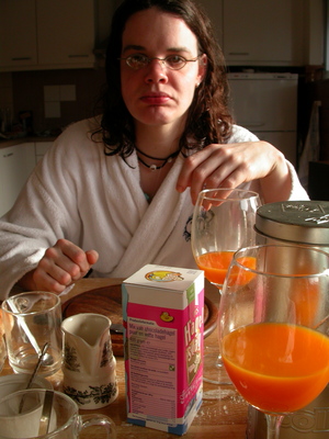 Image: /gfx/2004/2004Week52/dscn7105.Sprang-Capelle.jpg 
