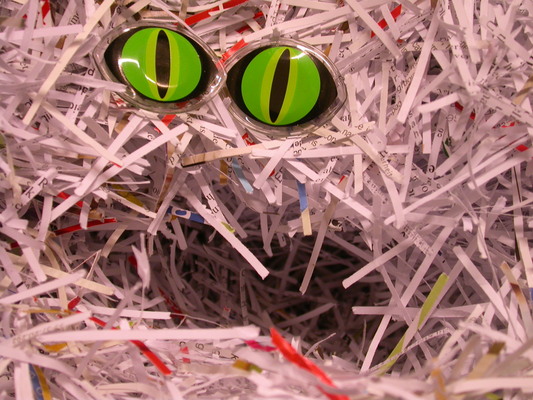 Image: /gfx/2004/2004Week53/dscn7190.Watergraafsmeer.jpg 