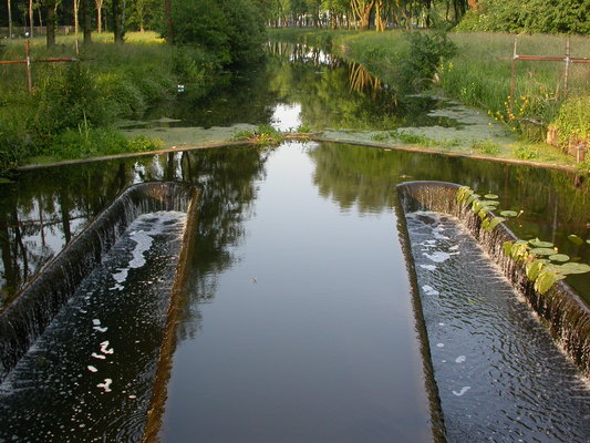 Image: /gfx/2006/2006Week23/dscn2728.Vecht.jpg 