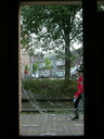 /gfx/2006/2006Week37/dscn5849.Thuis.jpg