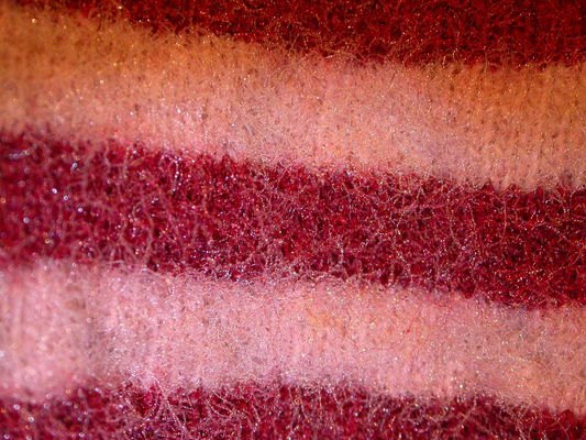 Image: /gfx/2007/2007Week05/dscn1577.Thuis.jpg 