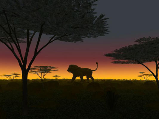 Image: /gfx/Mick/Dia/01.gdiekert.de.african_dawn.jpg 