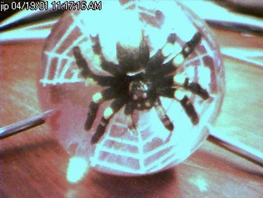 Image: /gfx/cam/200104/cam.200104191113.jpg 