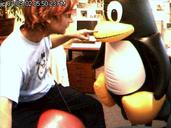 /gfx/cam/incoming/2002/cam.200207110925.jpg