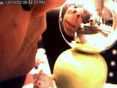 /gfx/cam/incoming/2002/cam.200212110155.jpg